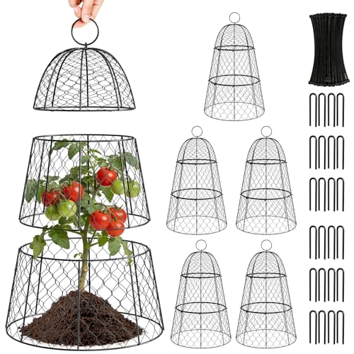 6 Pack Garden Cloche Plant Protectors from Animals, Adjustable 3-Tier Chicken Wire Plant Cages for Outdoor Plants, Stackable Metal Garden Cloches Keep Rabbits, Squirrels & Birds Away, 17.3" x 11.4" - size: 17.3" x 11.4"