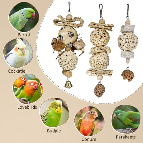 BNOSDM Hanging Bird Toy Sola Balls 3PCS Parrot Shredder Balls Natural Parakeet Foraging Toy Wood Bird Cage Chew Toys for Cockatiel, Budgie, Sun Conure, Quakers, Lovebirds (A) - color: White
