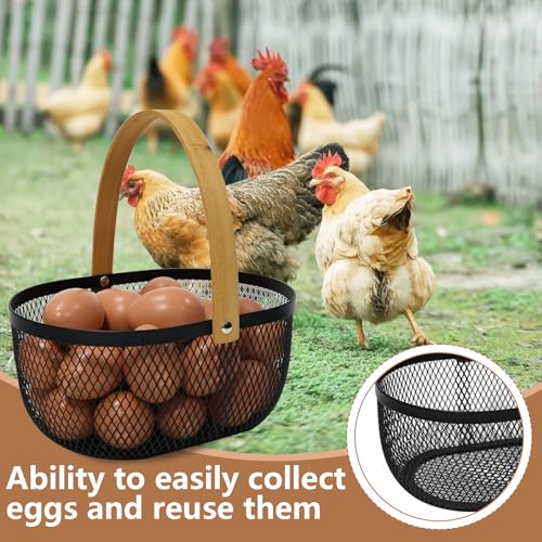 Farmhouse Egg Baskets for Gathering Fresh Eggs, Oval Metal Egg Collecting Basket Egg Holder with Wooden Handle, Countertop Kitchen Decor