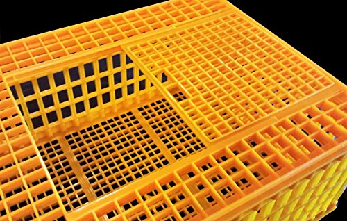 H.D. 29x21x12 Poultry Transport 4H Show CAGE COOP Basket Chicken Crate