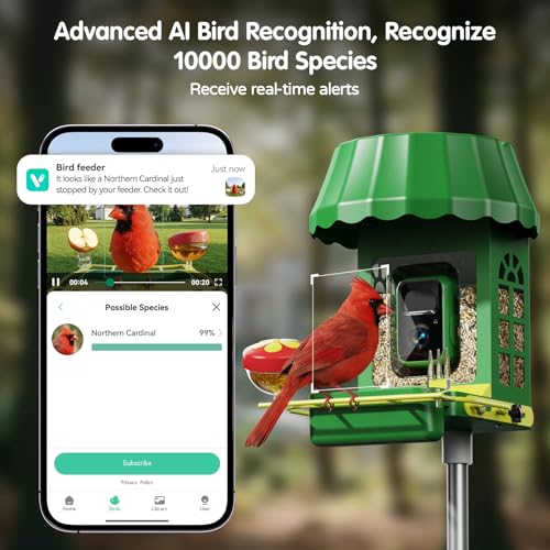 Avinory Smart Metal Bird Feeder with Camera 2.5K HD, Solar Powered AI Bird Identifier 10000+ Species, Wireless,Live Stream&Color Night Vision,Squirrel Proof for Outdoor Birds Watching Gift, 32GB Card