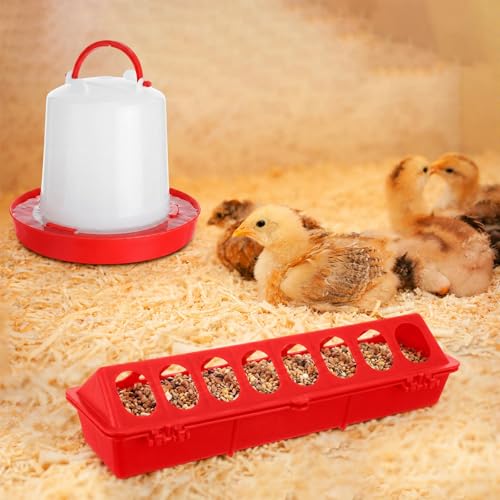 Funnymoom 12 Pack Chicken Feeder and Waterer Set Bird Small Poultry Feeder Flip Top Bird Small Poultry Feeding for Pigeon Chick Drinker Duckling Quail Feeding Dispenser (Red,8 Holes) - color: Red, style: 8 Holes