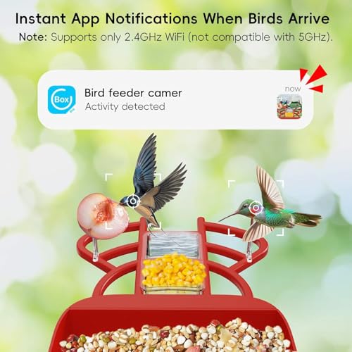 Smart Bird Feeder with Camera, Solar Panel & 5200mAh Battery, 4K HD Video, AI Identification, Instant Arrival Alerts & Alarm, IP65 Weatherproof, 32GB Card, 2L Capacity, for Bird Lover - color: Red