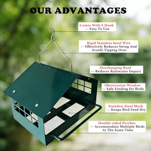 All-Metal Platform Bird Feeder, Dark Green Hanging Feeder | Double-Sided Long Perches, Stainless Steel Mesh Tray, Extended Roof Eaves and Rust-Resistant Finish for Small Birds