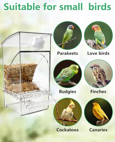 Hamiledyi No Mess Bird Feeder Automatic Transparent Acrylic Parrot Seed Food Container with Perch Bird Cage Accessories for Parakeet Finch Lovebirds Budgies Canary - color: Transparent Feeder