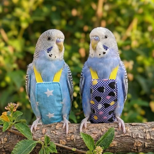 Bird Flight Harness Vest, Snap-Fastener Design Harness Vast, Bird Flying Clothes with Rope and Handle for Parakeets Cockatiels Conures Budgies（Black Heart - Vest + Traction M - color: black Heart, size: M