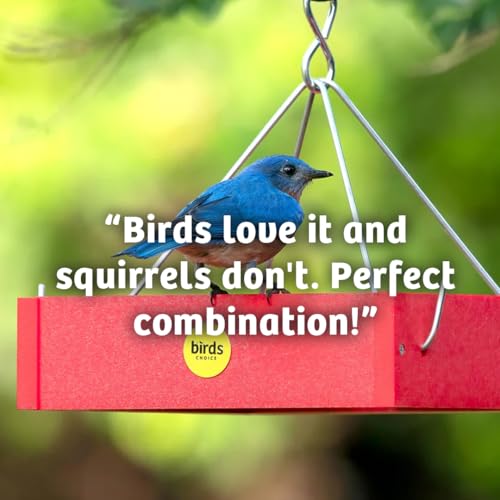 Birds Choice Trailblazin' Spicy Bird Seed | Squirrel Proof Wild Bird Food with Red Pepper | High-Energy Black Oil Sunflower Seeds, Peanuts & Safflower | High Protein & Fat Feeders | 5.1 lbs | Squirrel Resistant Red Pepper Blend of Black Oil Sunflower Seed