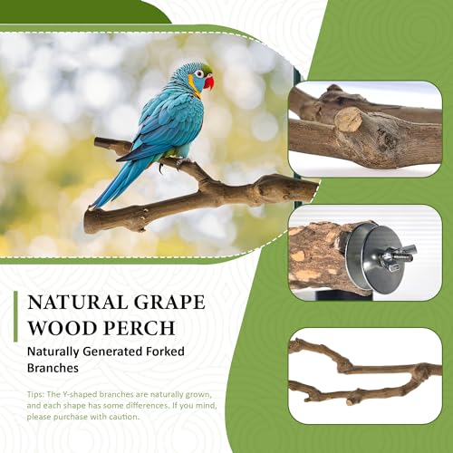 8pcs Natural Bird Perches for Cage, 5.9“ Small Wood Bird Perch for Parakeet/Cockatiel, Bird Cage Stick, Bird Branches for Cages, Birdcage Accessories for Parrot Conure