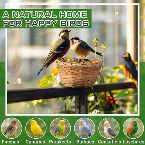 SiliFine 20 Pack Handmade Bird Nest for Cage, Bamboo Opened Finch Nest, Hanging Canary Hatching Breeding Cave House with Metal Hook for Budgie Parakeet Cockatiel Small Bird Garden Yard Decor