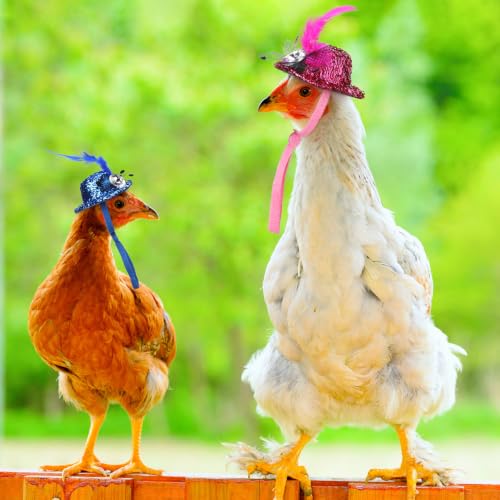 Zhanmai 9 Pcs Chicken Harness and Leash for Hens Funny Chicken Accessories with Leash and Hats for Hens Duck Goose Parrot Small Pet Harness Adjustable Training Walking Supplies (L) - size: L