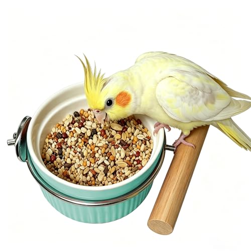 Ceramic Bird Cage Bowl with Stainless Steel Rack Holder, Hanging Anti-Tip Feeding Cup, Secure Mount Food & Water Dish for Parrots, Cockatiels, Parakeets, Small to Medium Pet Birds