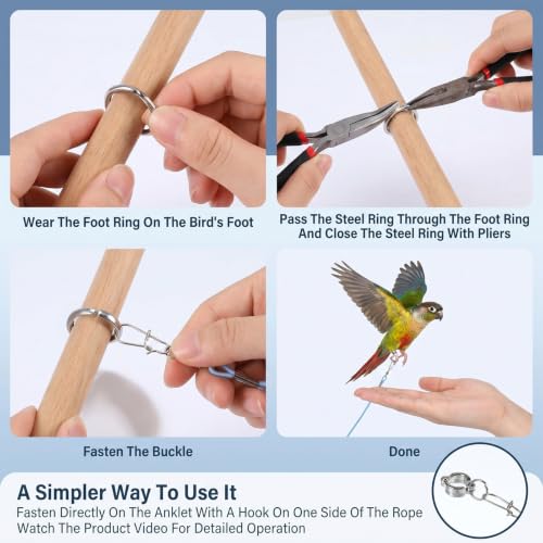 Bird Leash with 5 Different Size Foot Ring Parrot Flying Harness | Lightweight Elastic Bird Leashes Leg Band Outdoor Training Traction Rope for Macaw African Greys Parakeet Cockatoo Sun Conure