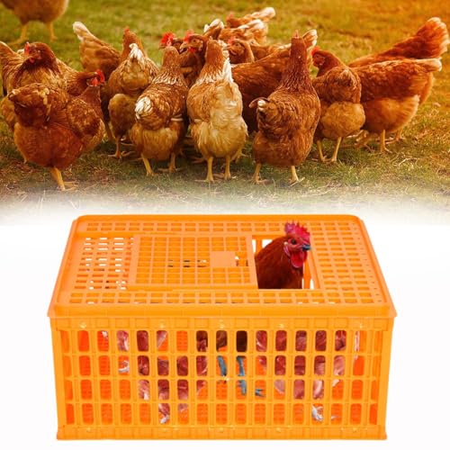 lukar 1 Piece Poultry Carrier Crate Heavy Duty Chicken Transport Cage | Plastic Chicken Carrier Crates Transport Box for 10-13 Adult Chickens Duck Goose Birds, 29.5 x 21.7 x 13 Inch