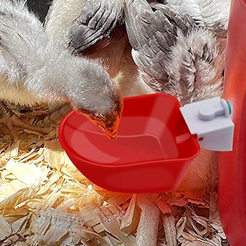5 Pack Chicken Waterer,Large Plastic Automatic Chicken Waterer Cups kit, 3/8 Inch Thread Poultry Drinking Bowl for Ducks, Birds, Bunny, Quail etc
