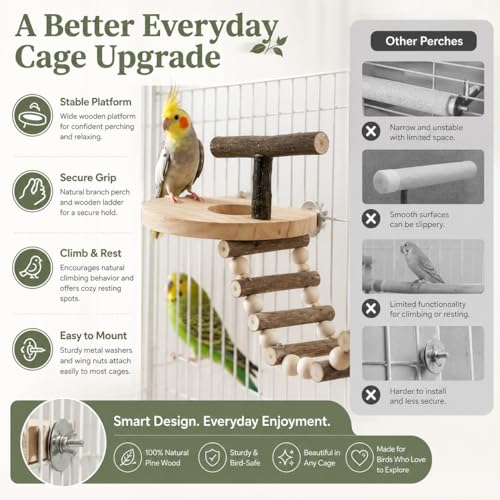 Bird Perch for Cage, Natural Pine Wood Platform with Ladder, Cage Mounted Parrot Perch for Parakeets, Cockatiels, Budgies, Finches & Small Birds