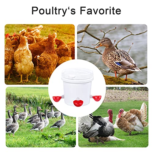 Darcvds Professional Chicken Waterer Cups, 8 Packs Large Chicken Water Feeder, Tee Fittings Poultry Waterer Suitable for Duck, Chicks, Goose, Turkey, Bunny and Bird with Mounting Hole Opener | Tee Fittings Poultry Waterer Feeder Suitable for Duck, Chicks,