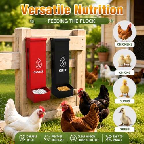 Chicken Feeder 2 Pack, Hanging Gravity Feeding Kit for Oyster Shell & Grit, Sturdy Metal Poultry Dispenser with Protective Cover, Weatherproof Food Holder for Chicken Coop, Ducks and Pigeons