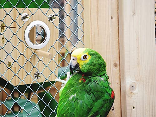 Bird Nest Box Parakeet Breeding Nest Box Bird Nest House Wooden Acrylic Transparent Breeding Box for Finch Lovebirds Cockatiel Budgie Conure Parrot - size: Large
