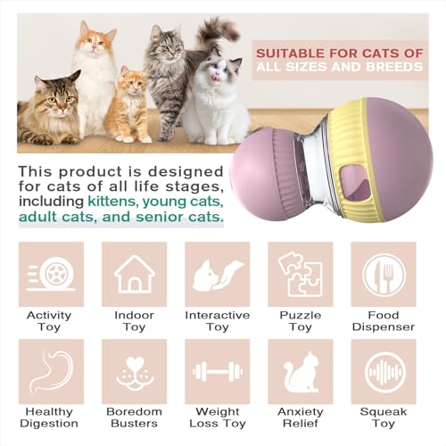 TLKNG Cat Treat Dispensing Toy Kitten Puzzle Feeder & Food Dispenser Ball - Kitty Enrichment Toys for Indoor Cats Kitty Stimulating Tous