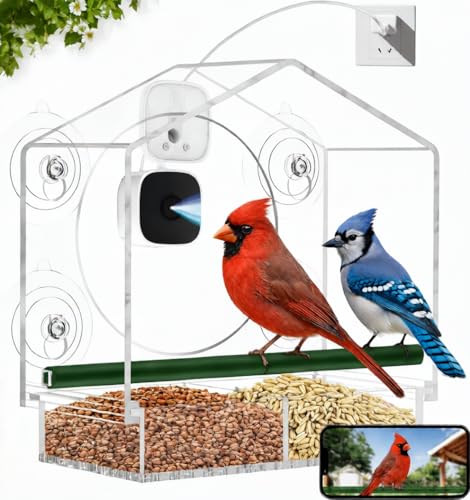 Clear Window Bird Feeder with Camera,2K HD Live View,6 Suction Cups | Clear Acrylic, Strong Suction, Easy-Clean Tray, 2K View & AI Bird ID, Gifts