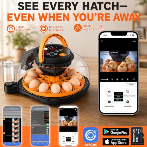 12-Egg Incubator for Hatching Chicken Eggs with WiFi Camera and Auto Turner | Built-in egg candler, temperature and humidity control, app monitoring and 8GB microSD for duck, quail and pigeon eggs.