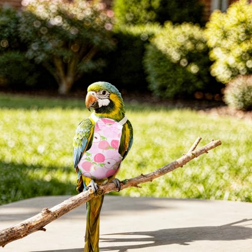 4 Pcs Bird Diaper, Reusable Parrot Diaper with Waterproof Inner | Cute Parrot Nappy Urine Wet Suit Costume Washable Cockatiel Clothes Bird Diapers Clothes for Budgie Canary Parakeet Macaw