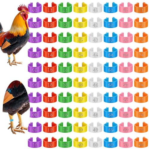 80 PCS Poultry Tags 16mm Plastic Chicken Leg Bands Color-Coded Leg Bands Duck Poultry Foot Tags for Chickens Ducks Goose Turkey Birds(Multicolor)