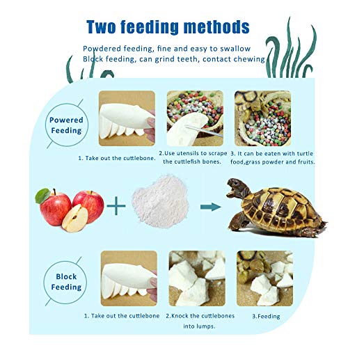 2PCS Natural Cuttlebone for Tortoise Turtles Snails Birds Cockatiels Parakeets Budgies Reptiles Small Animals(4"-4.5",Small)