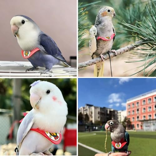 Adjustable Bird Harness & Leash Set for Small Birds,FitsBudgie,Parakeets, Conures, Cockatiels,Green Cheek,Quaker Parrots(Red, M) 6350-3 - color: Red, size: M,for Cockatiel and similar size birds