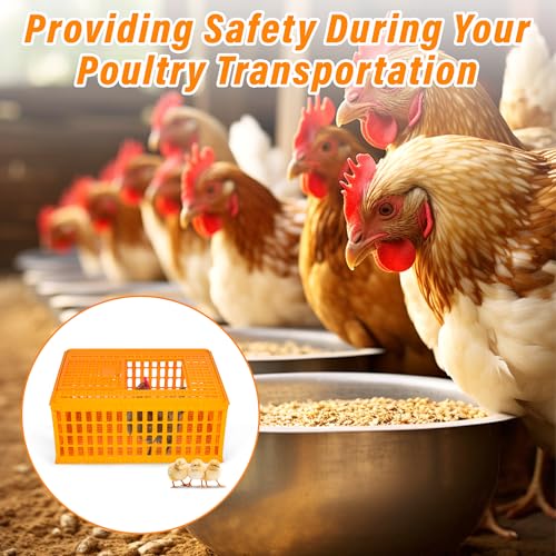 lukar 2PCS Poultry Carrier Crate Heavy Duty Chicken Transport Cage | Plastic Chicken Carrier Crates Transport Box for 10-13 Adult Chickens Duck Goose Birds, 29.5 x 21.7 x 13 Inch