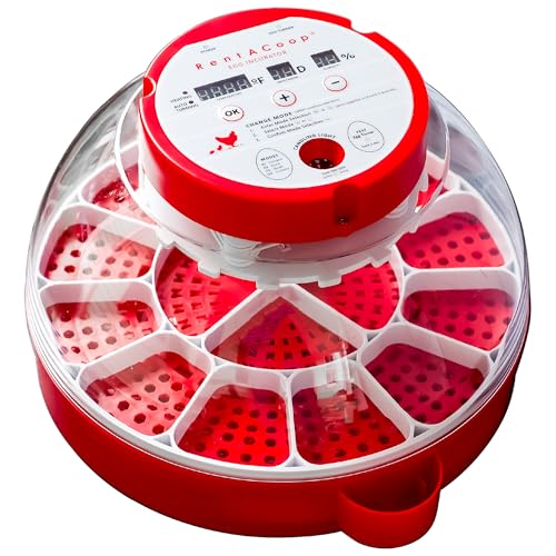 RENTACOOP Egg Incubator for 16 Eggs