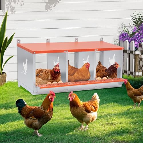 3 Bay Metal Nesting Box, Orange Wall Mount Chicken Nest for Hens & Ducks, Heavy Duty Galvanized Steel with Hen-Shaped Vents & Coconut Fiber Pad, Easy Tool-Free Assembly (Orange/Silver) - size: 31.8"L x 17.0"W x 15.0"H