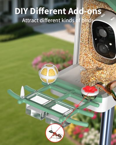 Bird Feeder with Camera, 2K Smart BirdCamera with Solar Powered, AI Identify Birds Species, Instant Arrival Alerts, 2.4Ghz WiFi Bird House for Outdoors, Ideal Gift for Family and Bird Lovers (Green) - color: Green