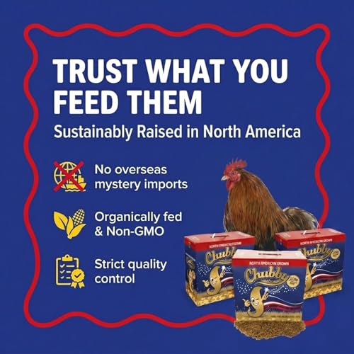 Chubby North American Grown Dried Mealworms | 30 lbs | Non-GMO High-Protein Treats for Chickens, Ducks & Wild Birds – Sustainable Chicken Feed - size: 30 Pound (Pack of 3)
