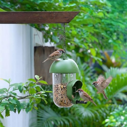 ‌LONA 1Pack Tube Bird Feeders, Weatherproof Design with 1 Feeding Port | Easy-fill Top Design, 2 Ways for Hanging, Suits Mixed Seeds, Squirrel-Proof Bird Feeder for Backyard/ Garden/ Patio, Green - size: 1 Port
