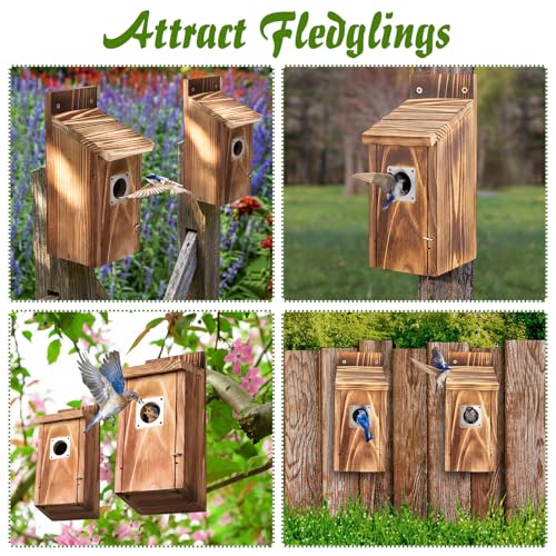 Dreyoo 2 Pack Bluebird Box Houses for Outside,1-1/2'' Entrance Hole Wooden Bird Houses with Metal Guard, Secure Latch,Fledgling Grooves,Air Vents for Bluebird Wren Swallow(Burnt Wood) - color: Burnt Wood