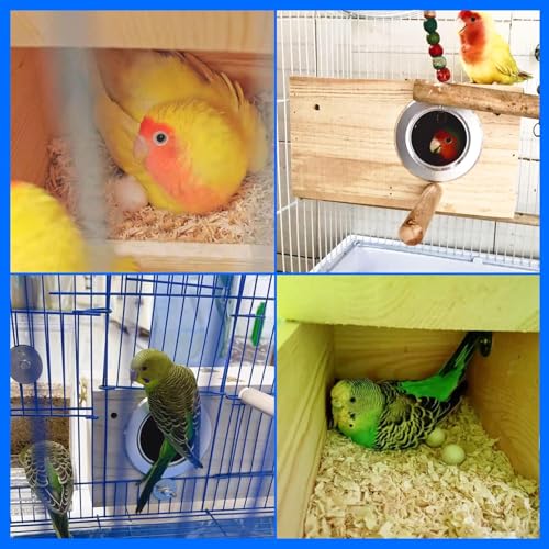 kathson Parakeet Nesting Box,Wood Bird Nest House for Cage,Parrots Breeding Mating Boxes,Budgie Nesting Box for Conure,Lovebirds,Finch,Canary,Small and Medium-Sized Birds（M） - size: M-9.84 x 5.11 x 5.11in