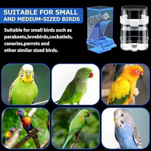 Yaomiao 6 Pcs No Mess Bird Feeders Automatic Clear Parrot Water Dispenser Acrylic Quail Feeder and Watered Cage Accessories Indoor for Small and Medium Parrot Cockatiel Canary (Blue Feeder) - color: Blue Feeder