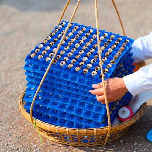 Teenyyou 10 Pcs 90 Egg Plastic Trays Quail Egg Flats Holder for Quail Pigeon Dove Bird Flat Carton (Blue) - color: Blue