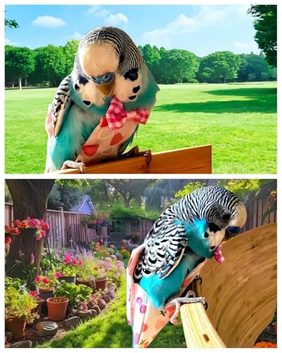6Pcs Bird Diapers Bird Harness Flight Suits Diapers Reusable Parrot Nappy with Waterproof Inner Layer Washable Cute Urine Wet Suit Costume for Cockatiel Conure Budgie Macaw Parakeet, M - size: M