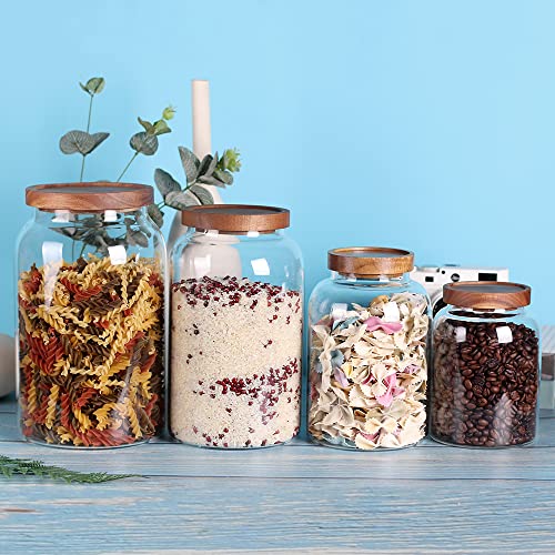LEAVES AND TREES Y 1 Gallon Glass Jar with Airtight Lid and Anti-Skid Bottom for Dry Food Storage