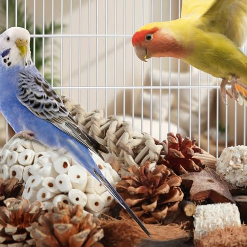Kyouki Bird Toys Parrot Natural Bird Foraging Box Foot Toys for Parakeets,Cockatiels,Conures,Love Birds,and Other Small to Medium Birds (Large) - size: Large