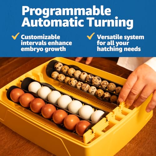 Brinsea Ovation 28 EX Egg Incubator, Humidity Control & Educational Book | 50+ years of trusted precision! Built-in automatic humidity, auto-turn & temp alarms take the stress out of hatching 28 eggs - style: With Book