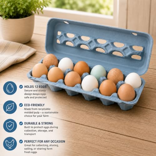 Vented Paper Pulp Egg Cartons - Blue (24)