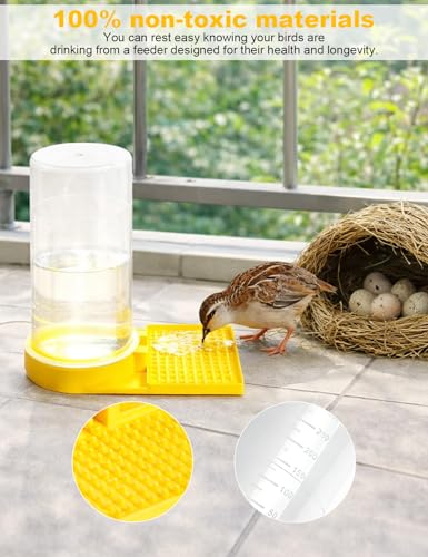 Ultra Leak-Proof Quail Chick Water Feeder – Premium Large Capacity, Non-Toxic & Durable, Ideal Button Quails Waterer, No-Spill Quail Coop & Poultry Supplies for Easy Hydration