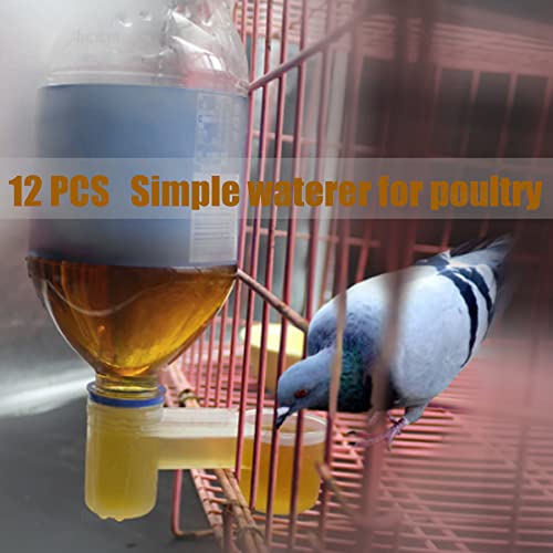 AUEAR, Set of 12 Bird Drinker Feeder Cup Soda Pop Water Bottle Plastic for Pigeons Parrot Chicken Supplies (Clear) - color: Clear