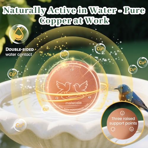 Bird Bath Copper Disk, 4 Inch, 99.9% Pure Copper, 1 Pack | 0.6mm Thick, 99.9% Pure Copper with Triple-Point Support, Fits Most Bird Baths, Bowls and Outdoor Water Features