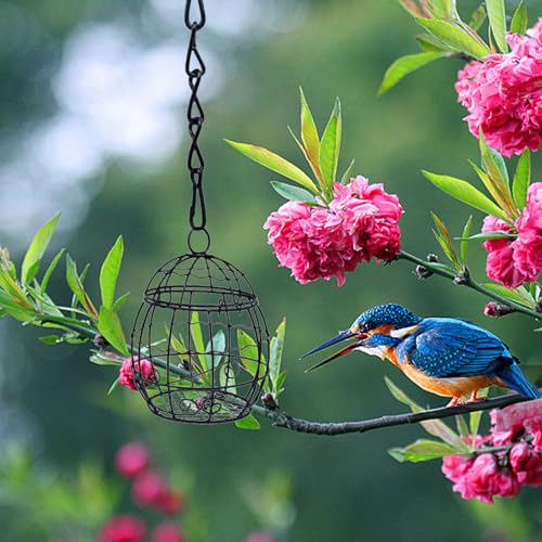 2 Pcs Ball Bird Feeder, Metal Fat Ball Bird Holder, Hanging Wild Bird Feeder Stations with Hooks for Outside Garden Wildlife