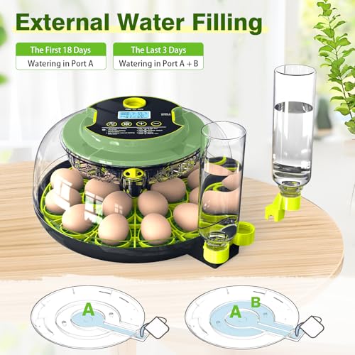 18 Egg Incubators for Hatching Eggs, Egg Incubator with Temperature Control, Humidity Display, Auto Egg Turner, Egg Candler, 2 Size Egg Trays, Digital Incubator for Chicken, Duck, Quail Eggs
