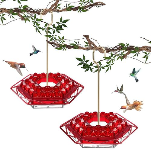 Hummingbird Feeder with Ant-Proof Moat Hummingbird Feeder, Easy to Clean and Refill Includes Hanging Hook, Features 30 Feeding Ports (Red 2PCS) - color: Red 2PCS